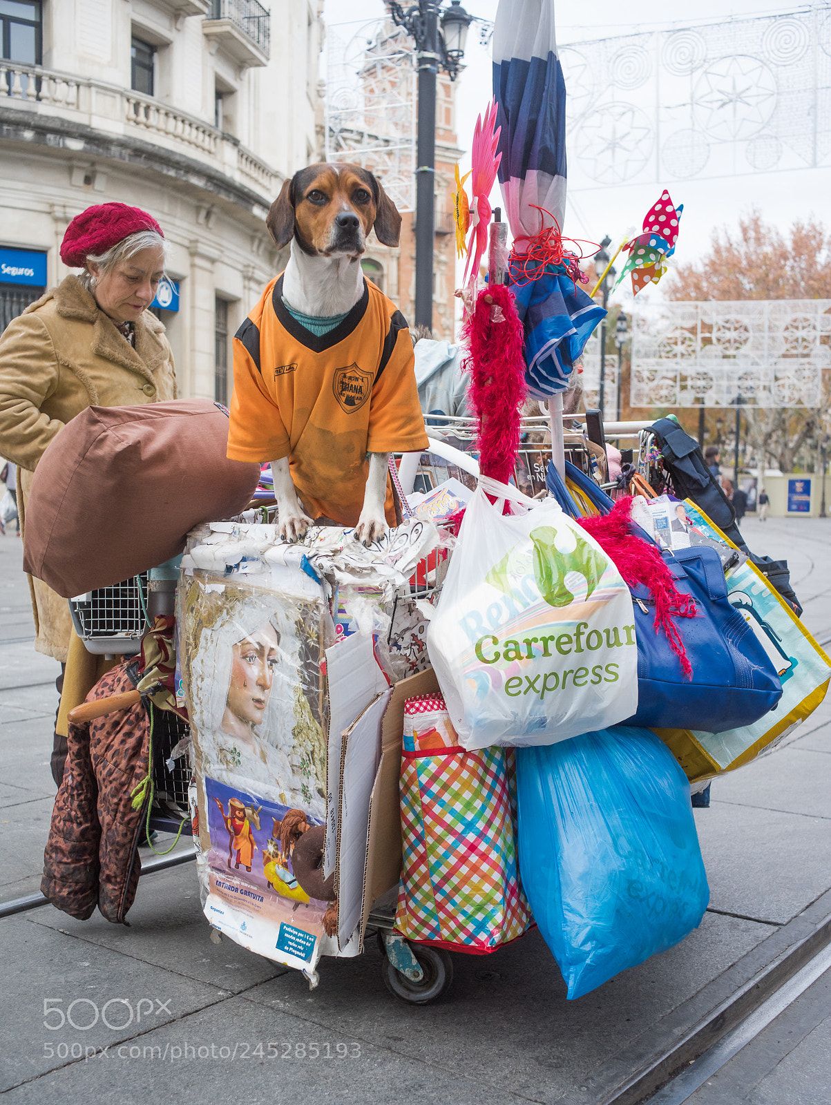 Nikon D810 sample photo. Homeless and her dog photography
