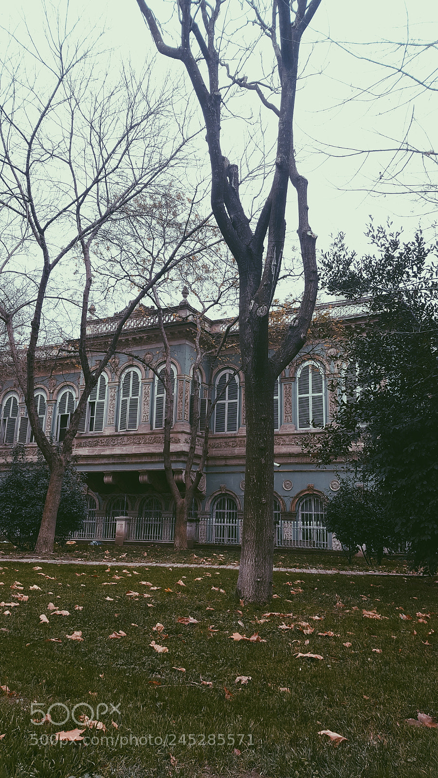 Samsung Galaxy Note5 sample photo. Untitled photography