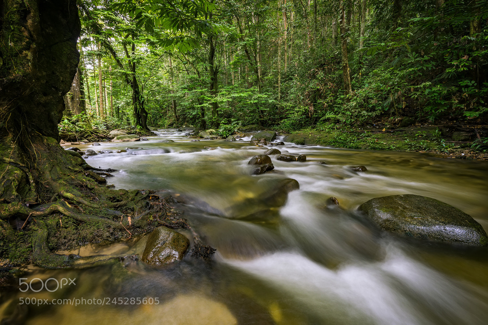 Sony a7R II sample photo. Cascading flow of water photography