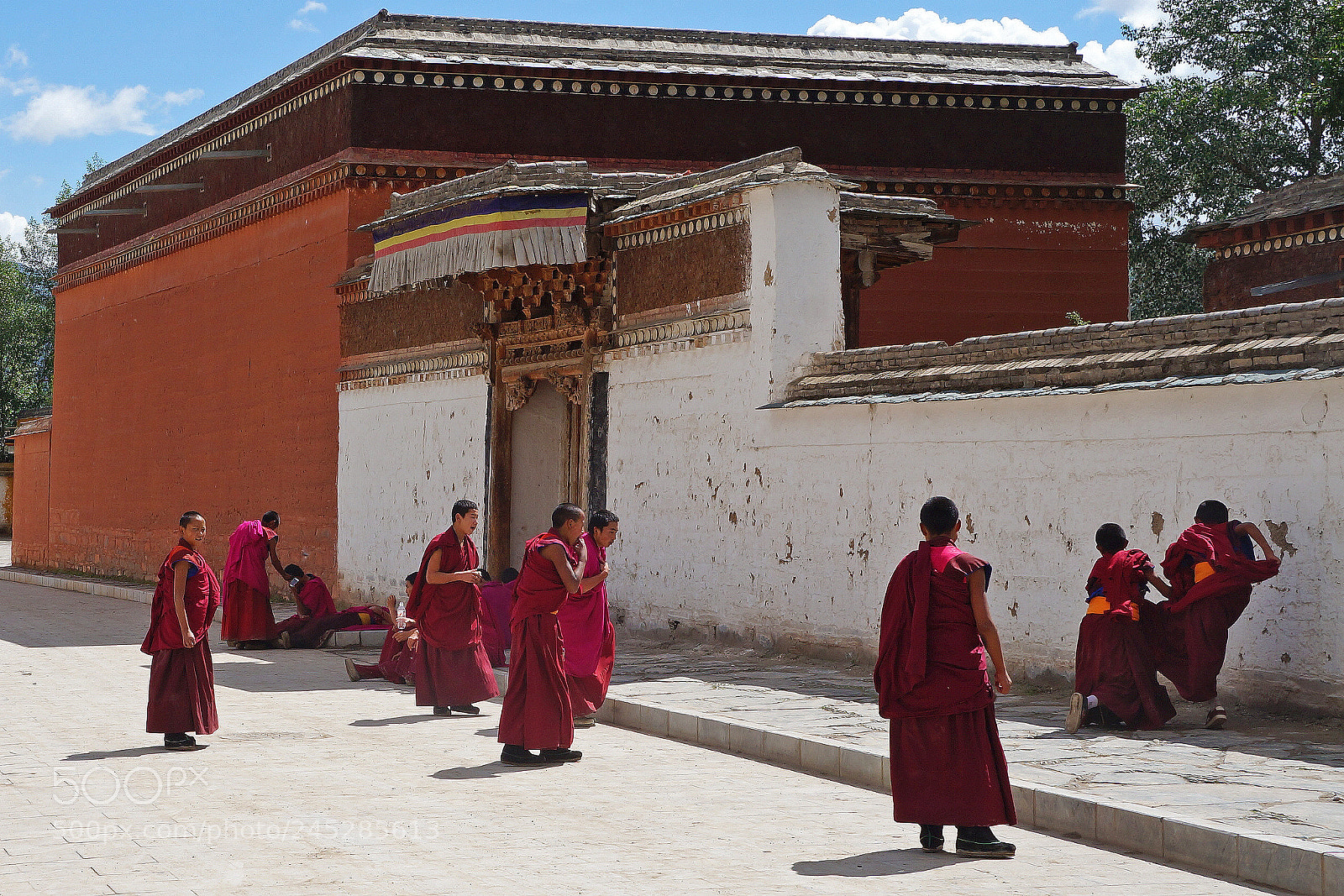 Sony Alpha NEX-F3 sample photo. Monks in training photography