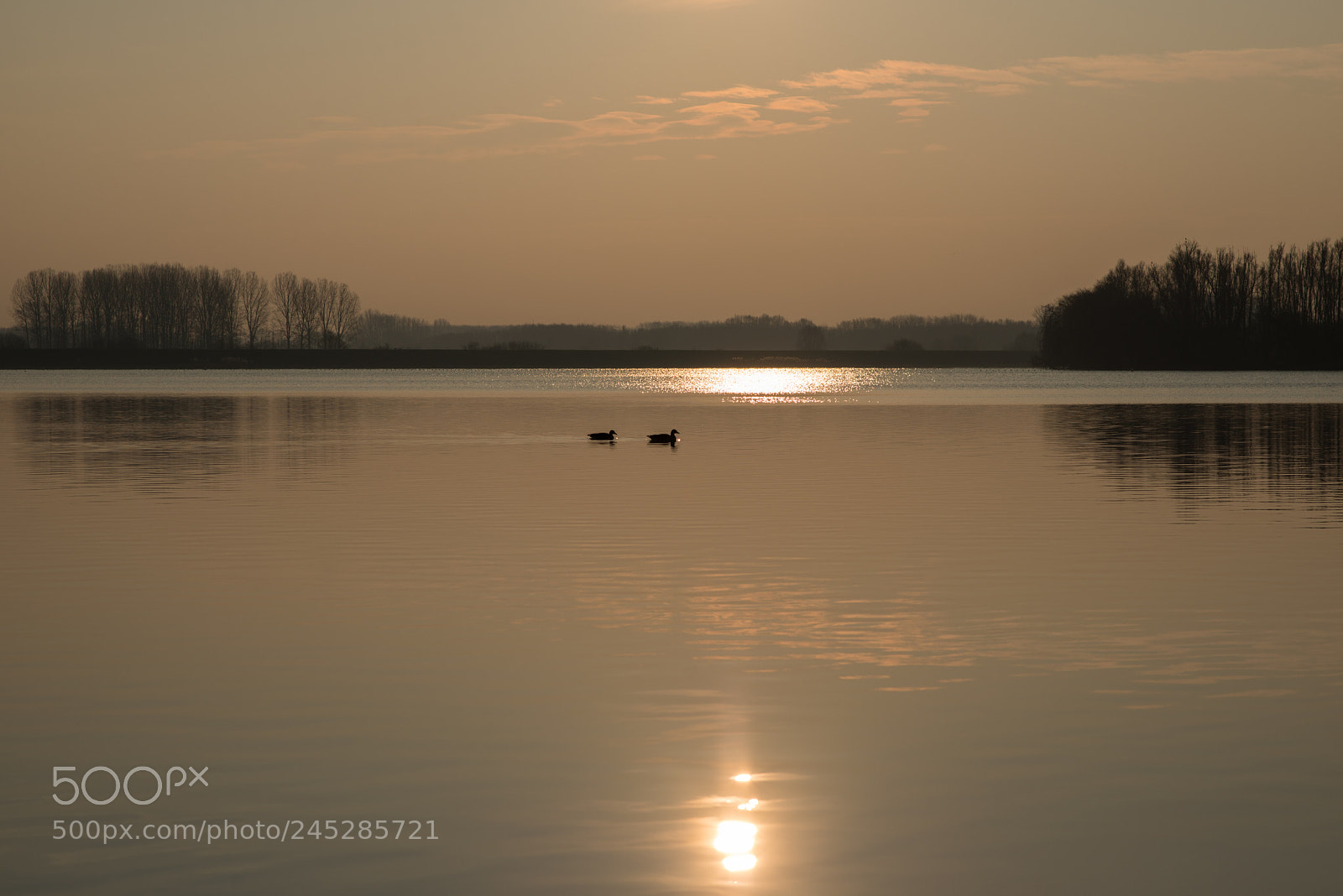 Nikon D800 sample photo. Golden sunrise photography