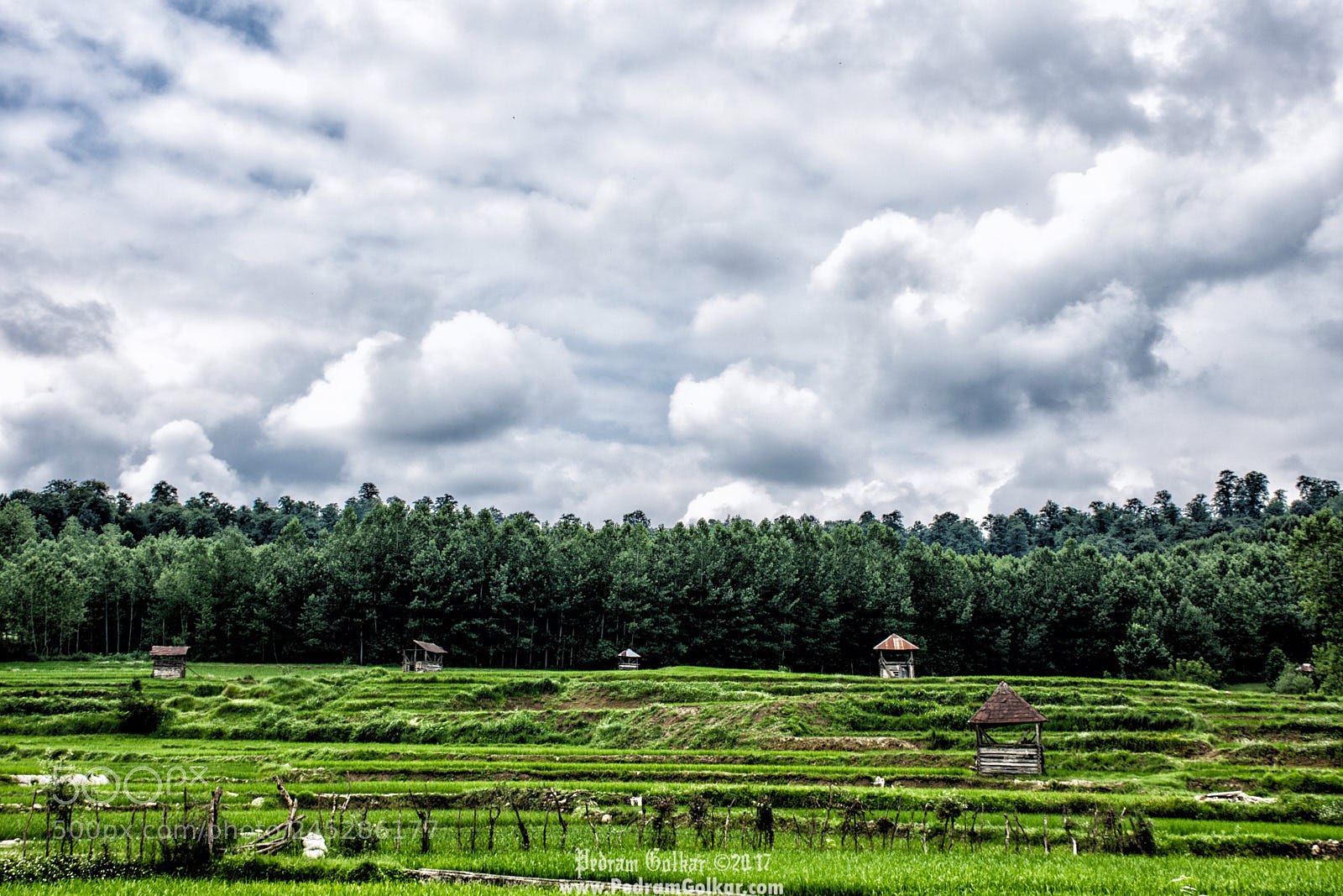 Nikon D7200 sample photo. Tirken photography