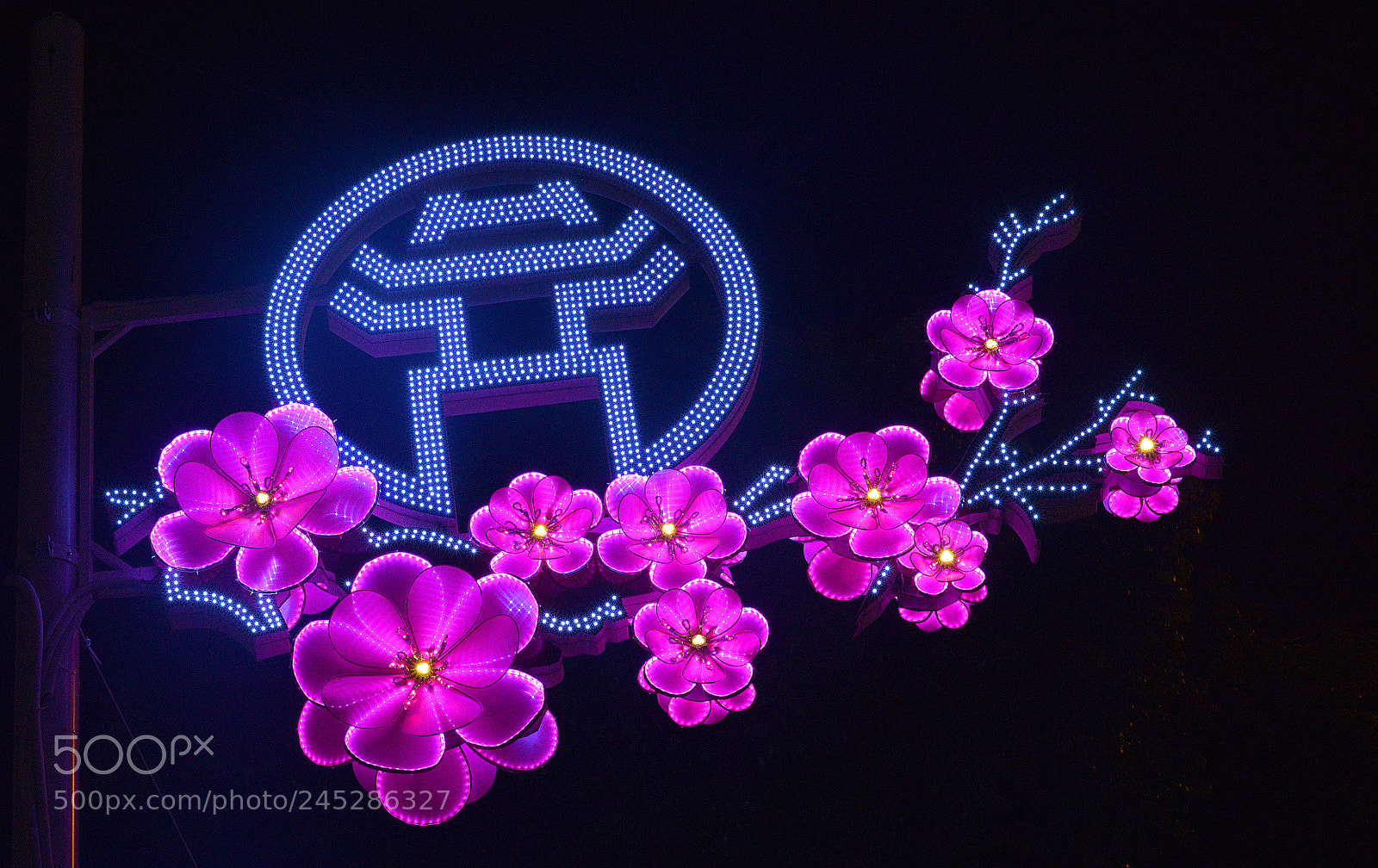 Nikon D600 sample photo. Hoadao photography