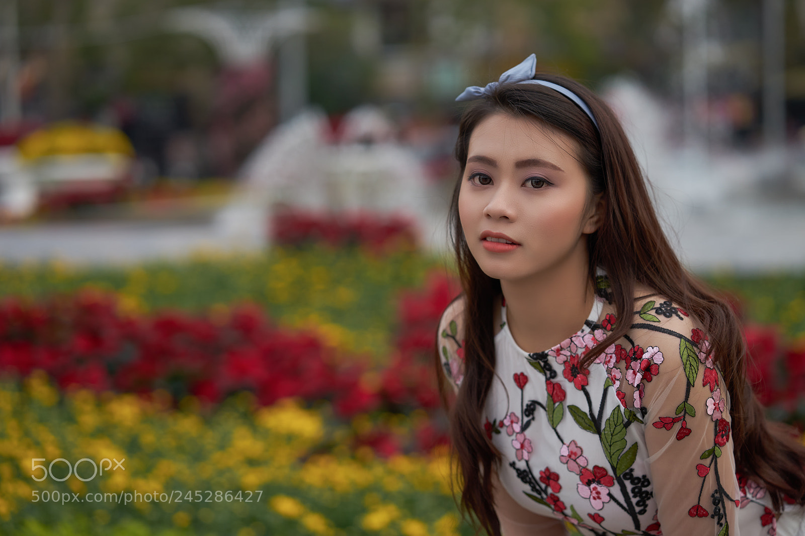Sony a7 II sample photo. Dsc photography
