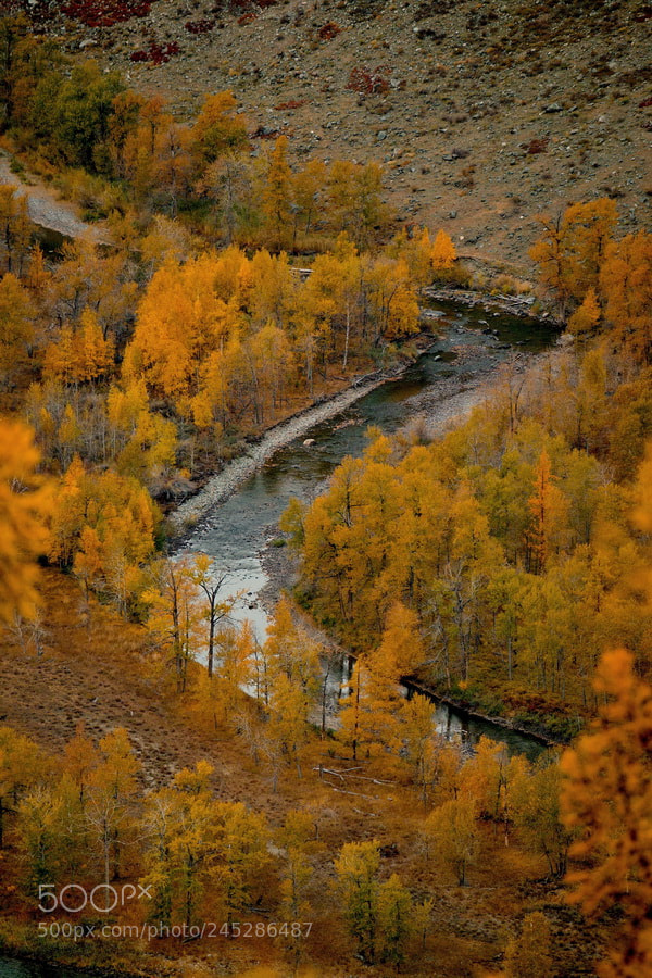 Fujifilm X-T1 sample photo. Russia. the south of photography