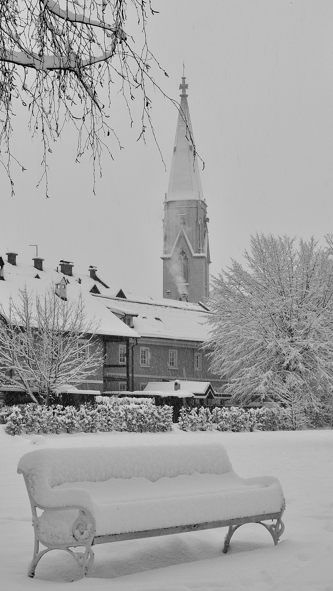 Nikon Df sample photo. Peaceful morning#celje photography