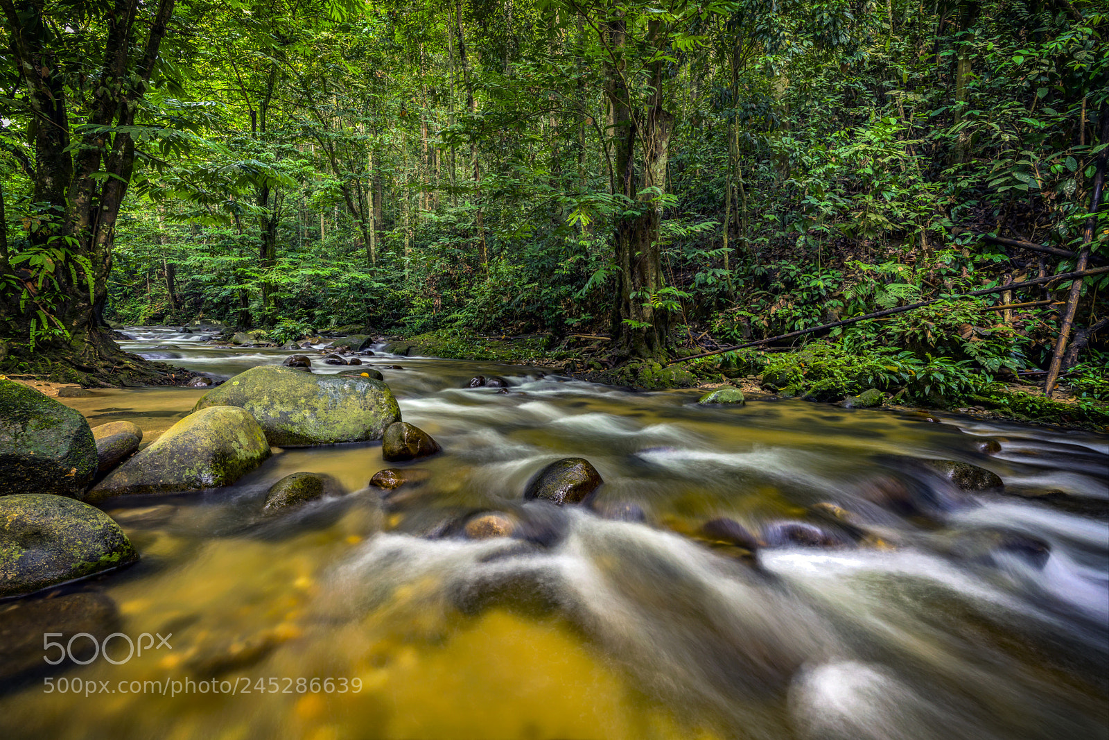 Sony a7R II sample photo. Cascading flow of water photography