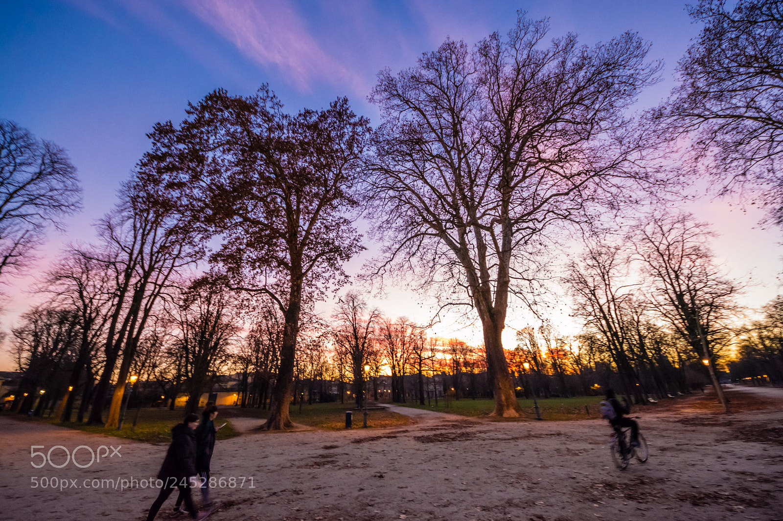 Nikon D5200 sample photo. Winter sunset at the photography