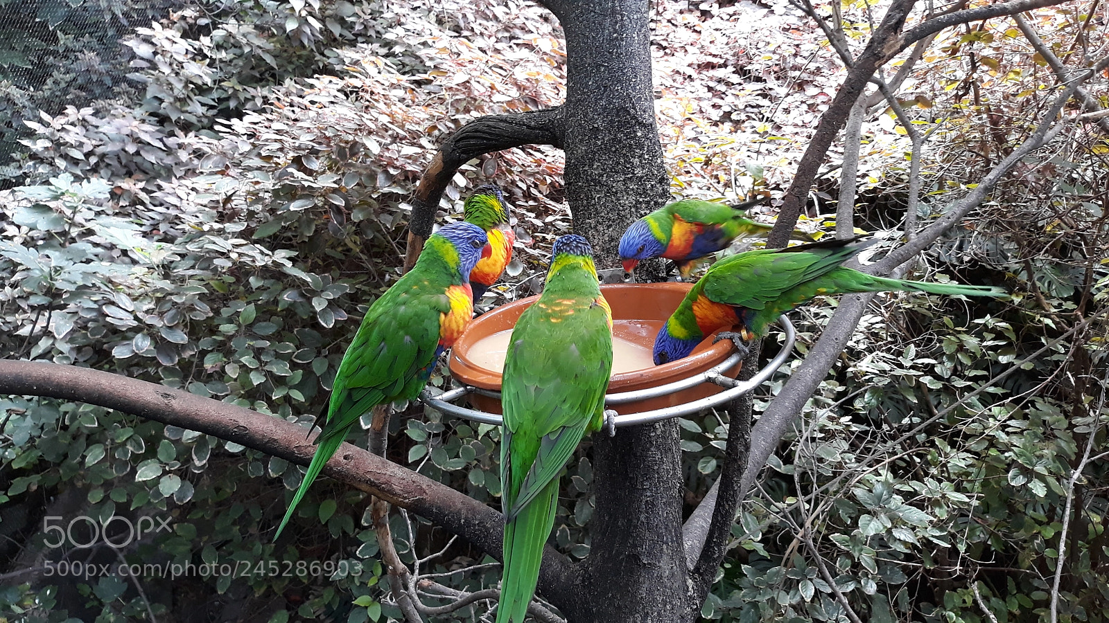 Samsung Galaxy J7 sample photo. Untitled photography