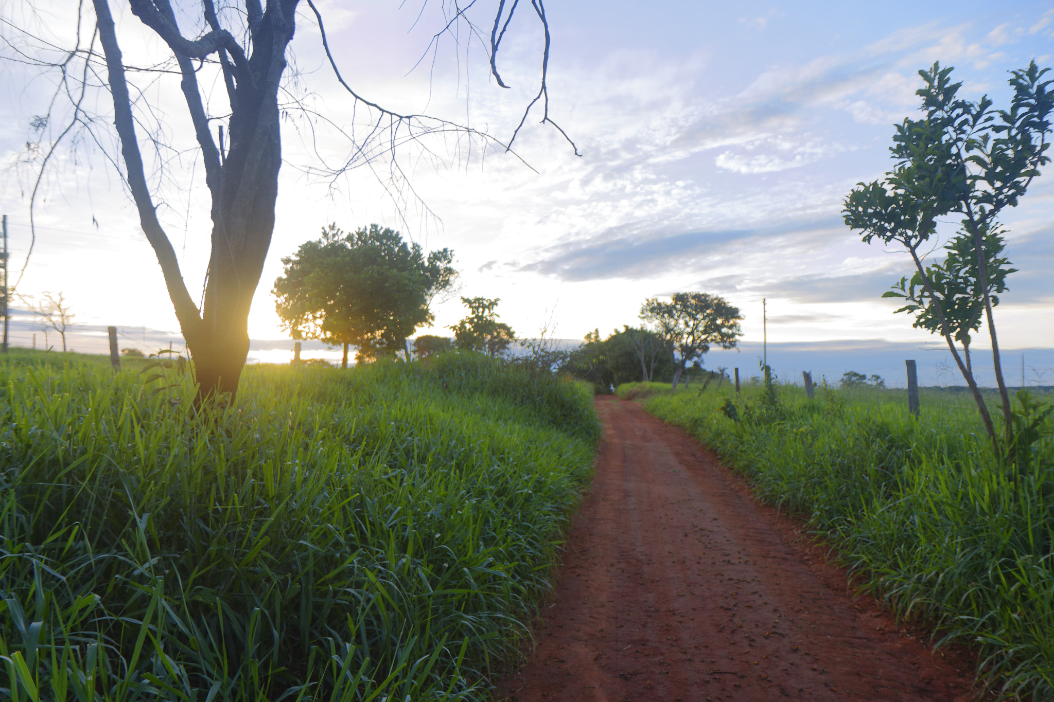 Canon EOS 700D (EOS Rebel T5i / EOS Kiss X7i) + Canon EF-S 17-55mm F2.8 IS USM sample photo. Final de tarde photography