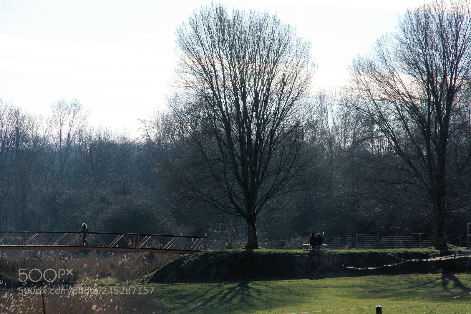 Canon EOS 1000D (EOS Digital Rebel XS / EOS Kiss F) sample photo. Natuurpark lelystad photography