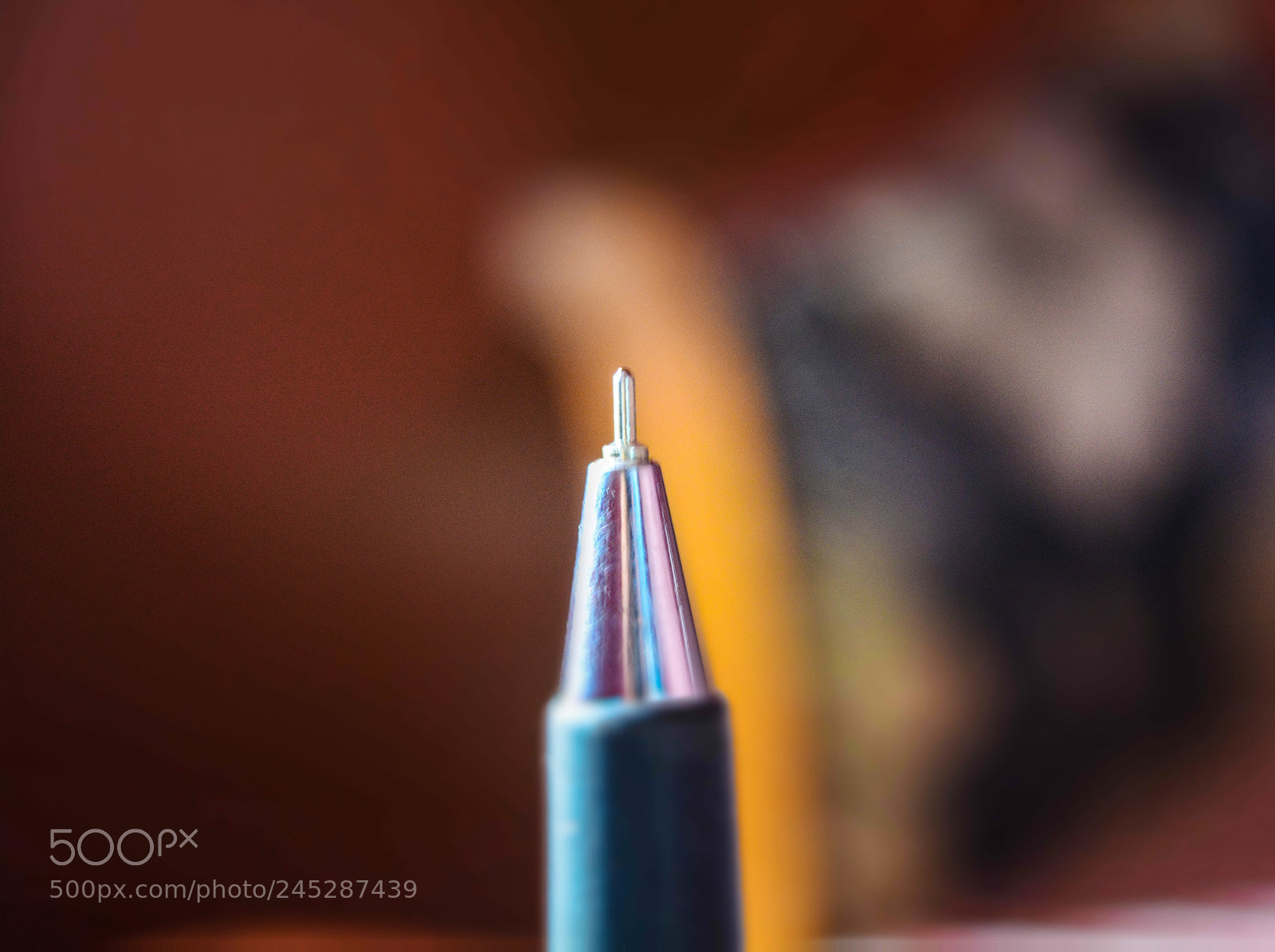 Nikon D5200 sample photo. The pen photography