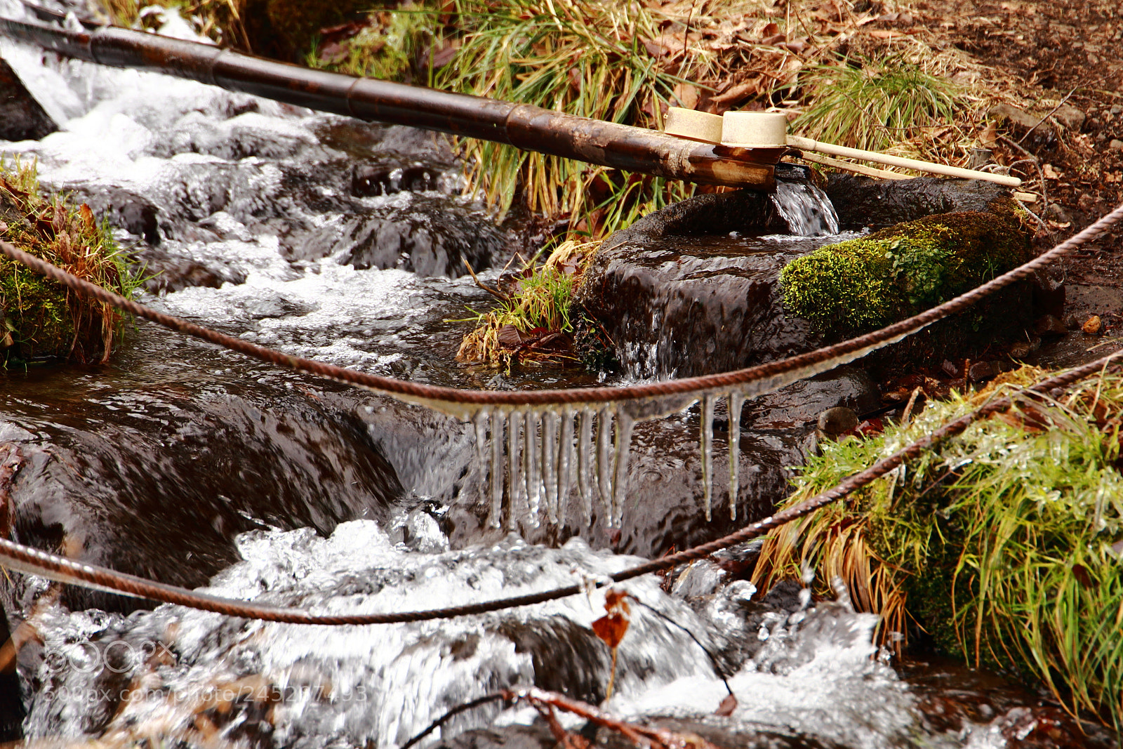 Canon EF 24-105mm F3.5-5.6 IS STM sample photo. Frozen suwa photography