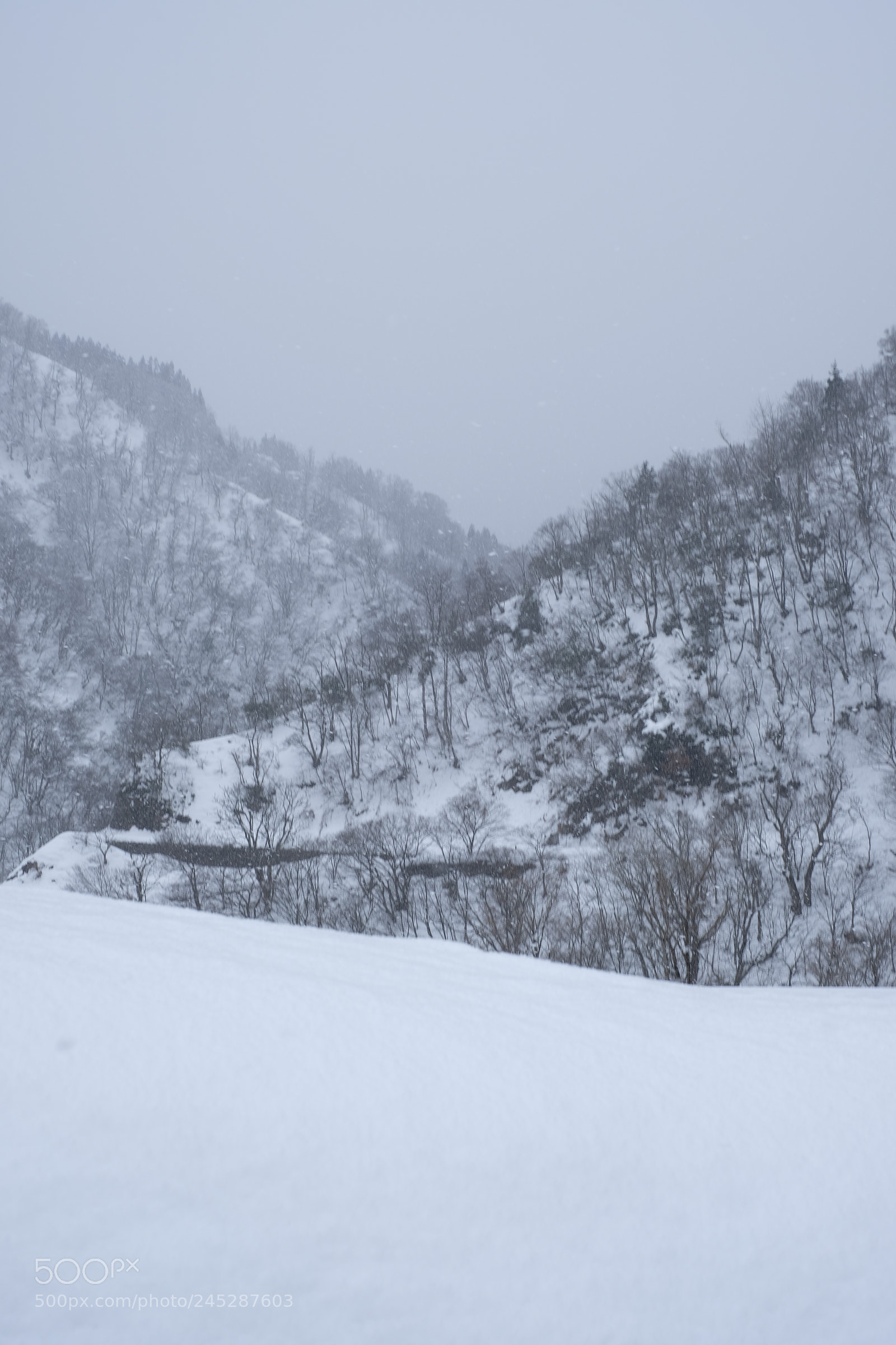 Fujifilm X-Pro2 sample photo. Untitled photography