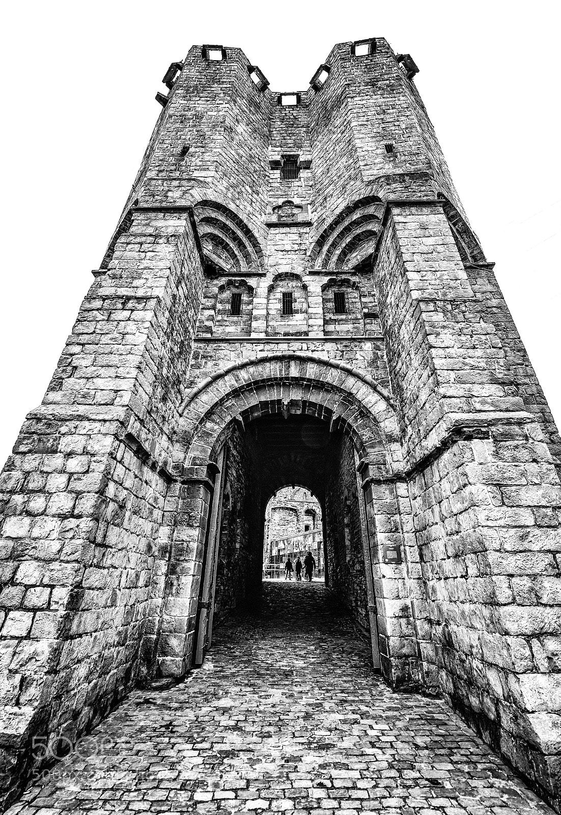 Nikon D810 sample photo. Gent castle tower photography