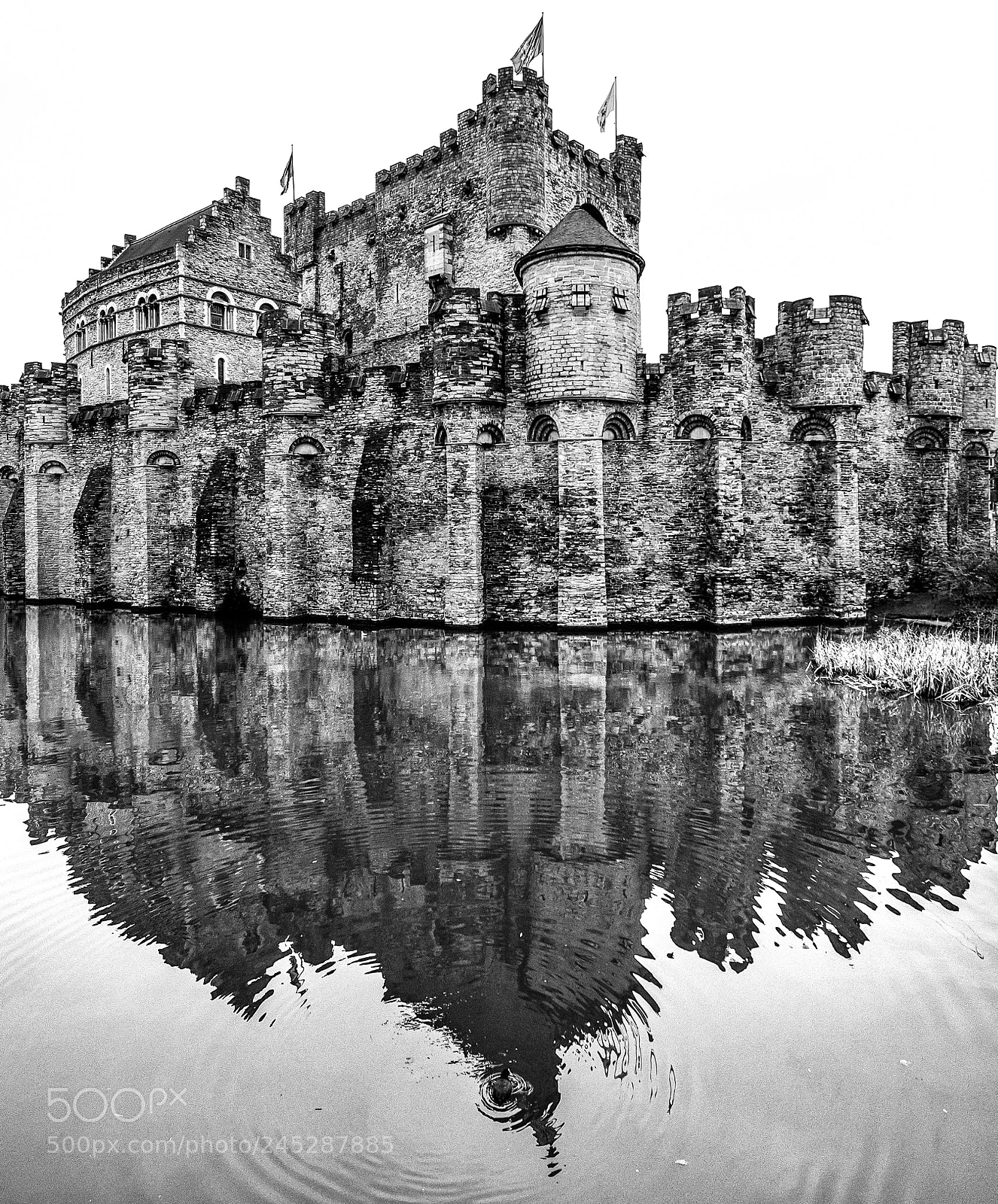 Nikon D810 sample photo. Gent castle photography