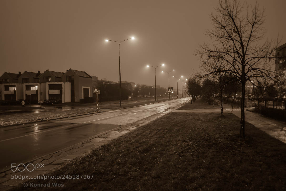 Fujifilm X-E1 sample photo. Opole_51 photography
