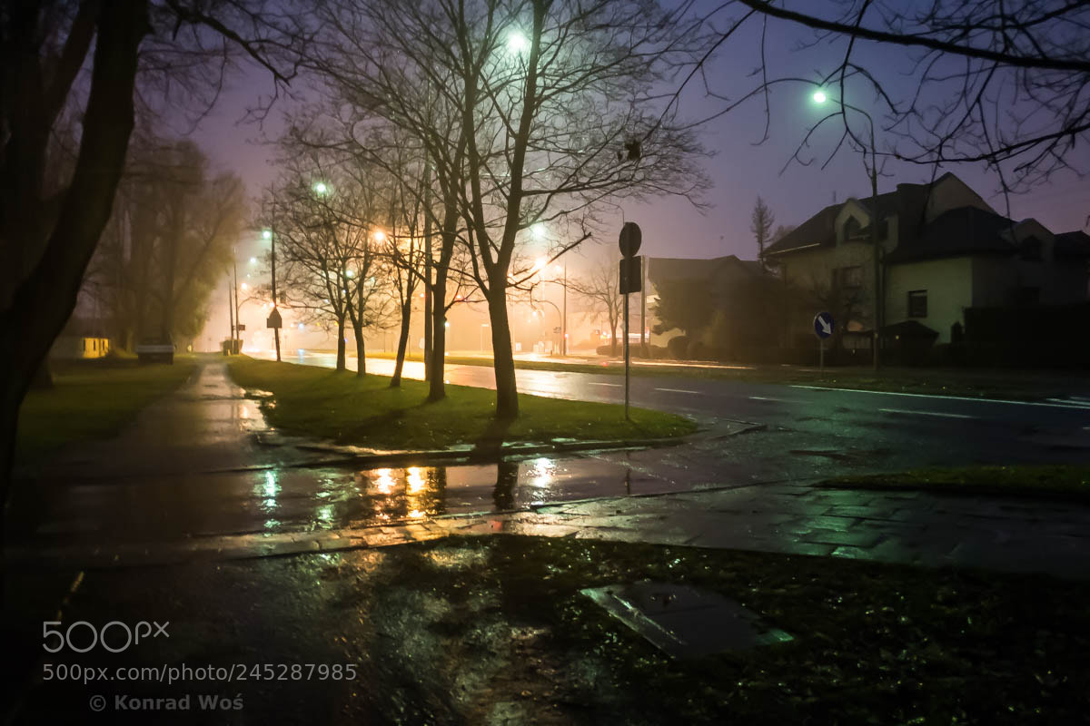 Fujifilm X-E1 sample photo. Opole_53 photography