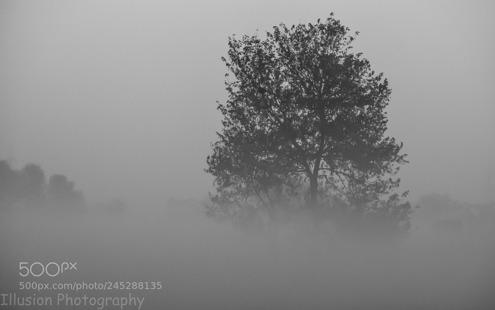 Nikon D5200 sample photo. Above the clouds photography