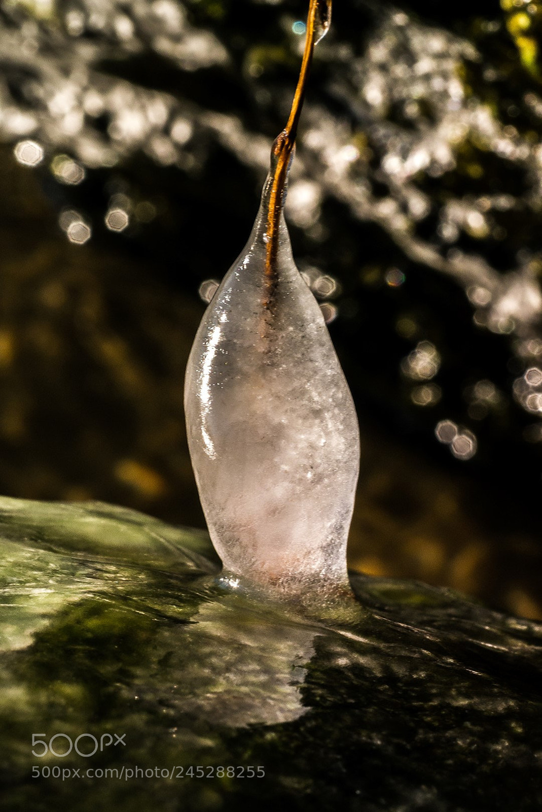 Panasonic Lumix DMC-GX1 sample photo. Ice sculpture photography
