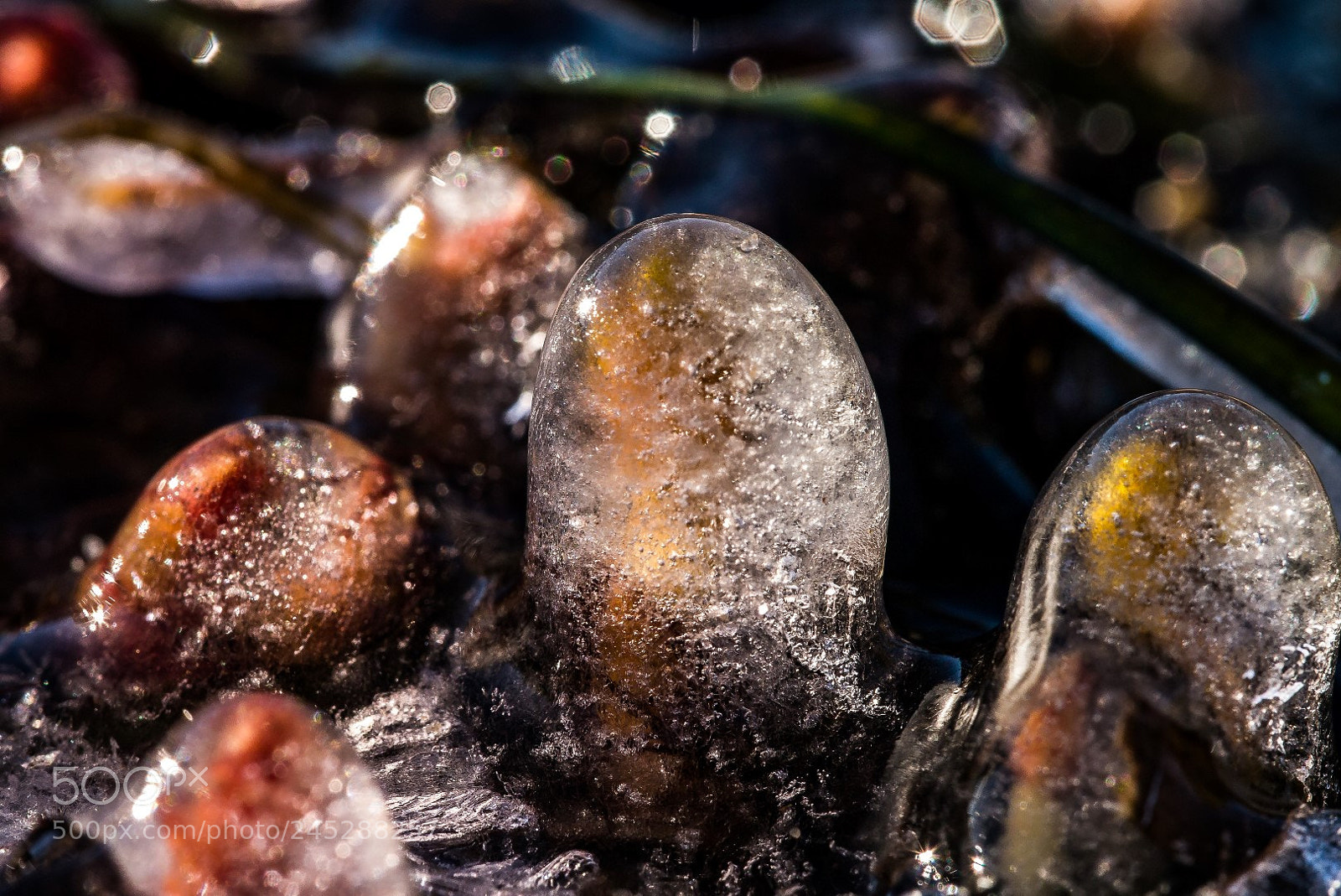 Panasonic Lumix DMC-GX1 sample photo. Ice sculpture photography