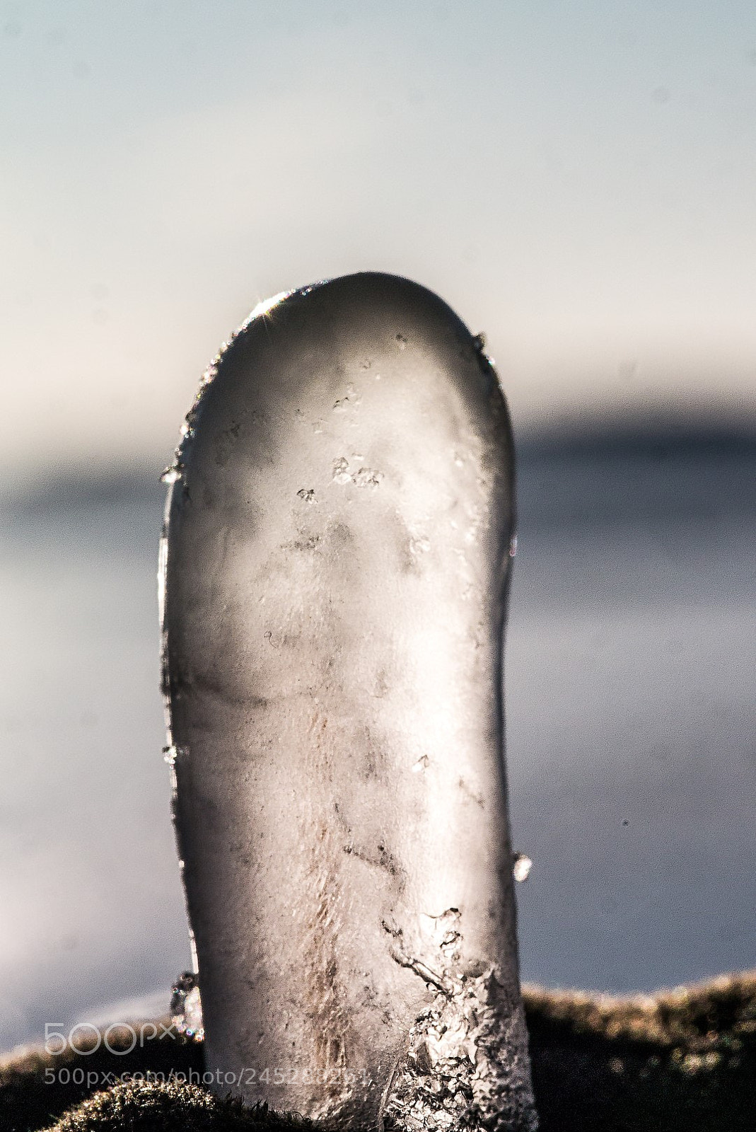 Panasonic Lumix DMC-GX1 sample photo. Ice sculpture photography