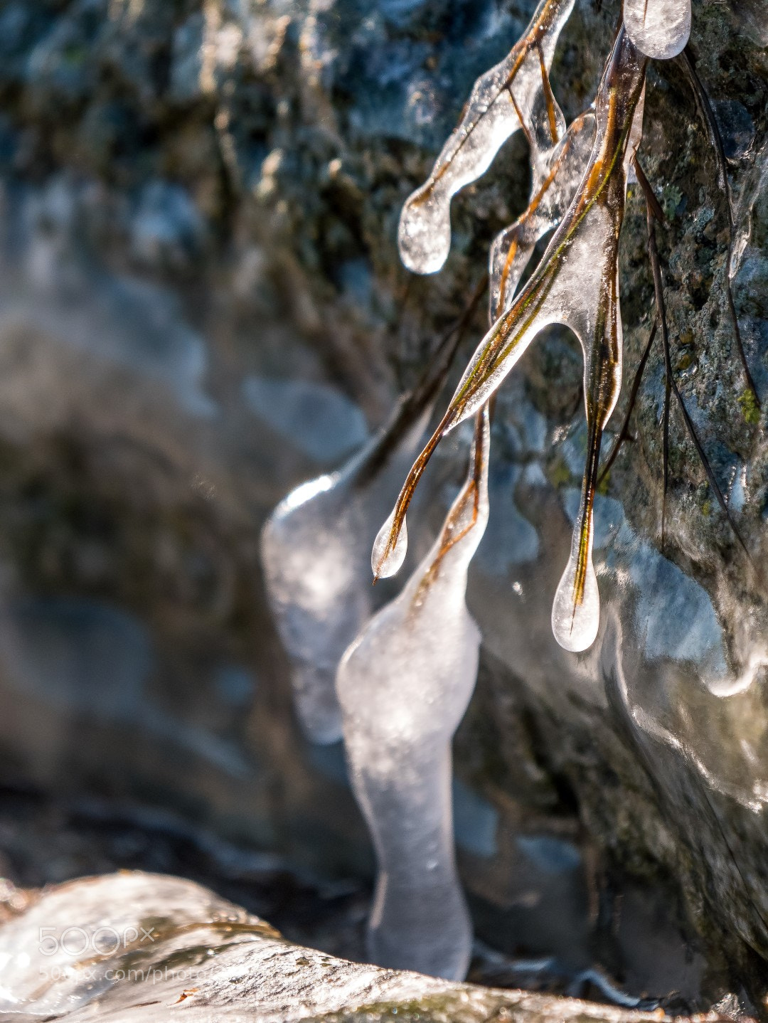 Panasonic Lumix DMC-GX85 (Lumix DMC-GX80 / Lumix DMC-GX7 Mark II) sample photo. Ice sculpture photography
