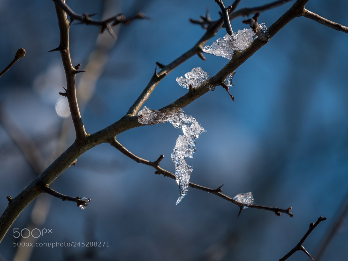 Panasonic Lumix DMC-GX85 (Lumix DMC-GX80 / Lumix DMC-GX7 Mark II) sample photo. Ice sculpture photography