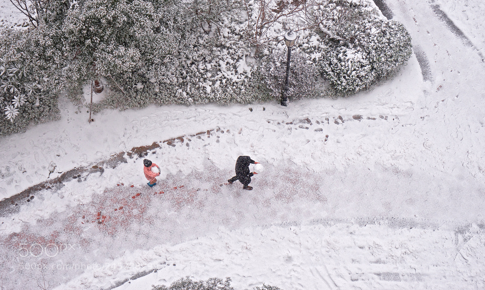 Sony a7 sample photo. Bigger snowball photography