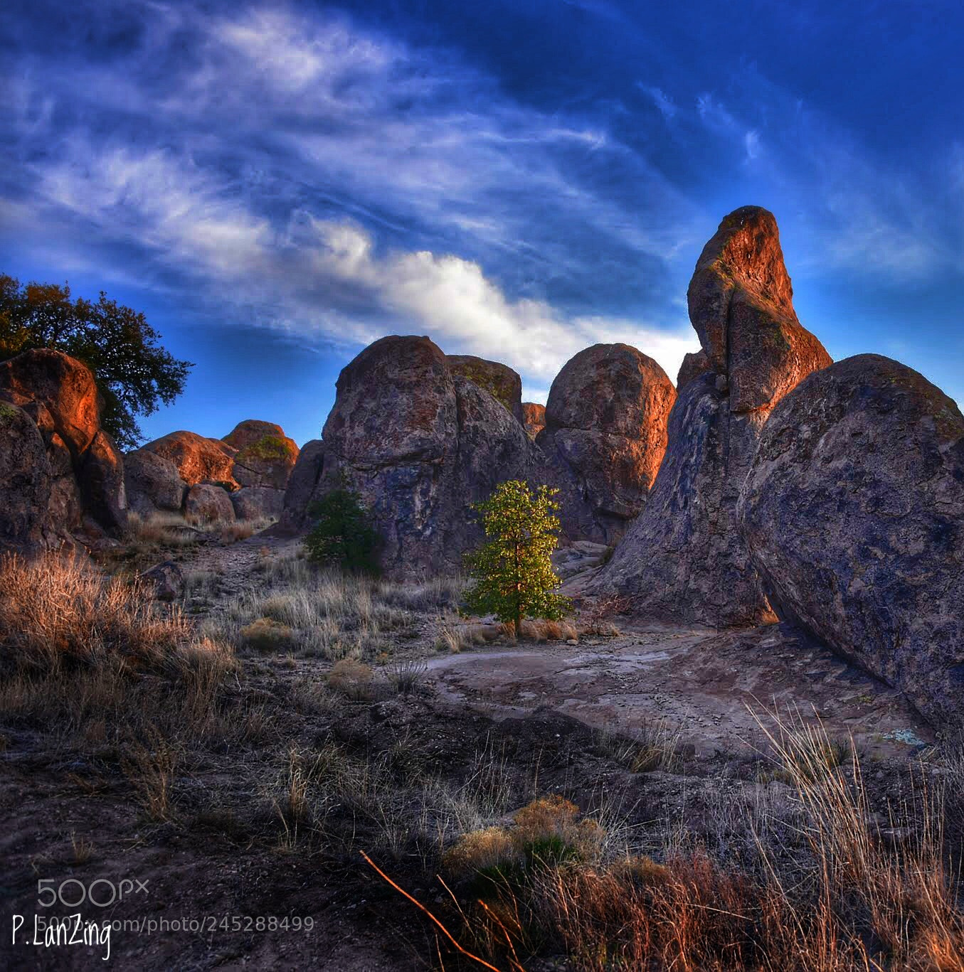 Nikon D810 sample photo. City of rocks, new photography