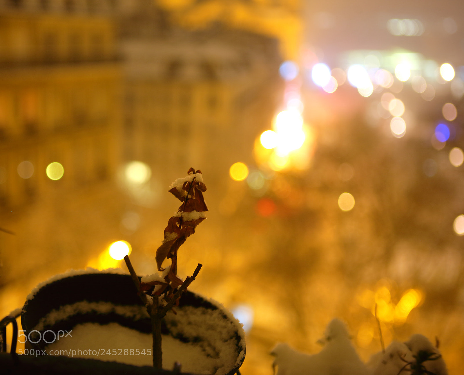 Canon EOS 5D sample photo. Pot fleurs photography