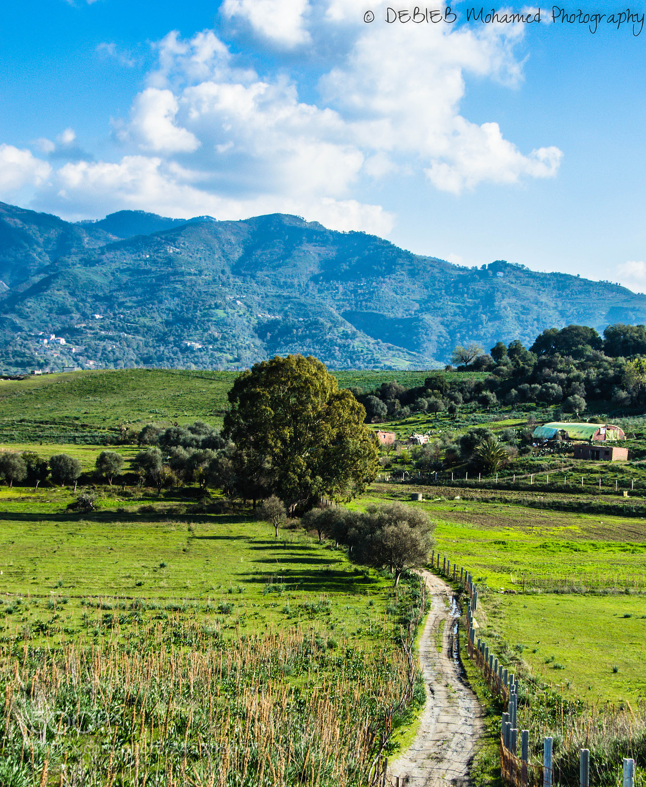 Nikon D3200 sample photo. Landscape jijel algeria photography