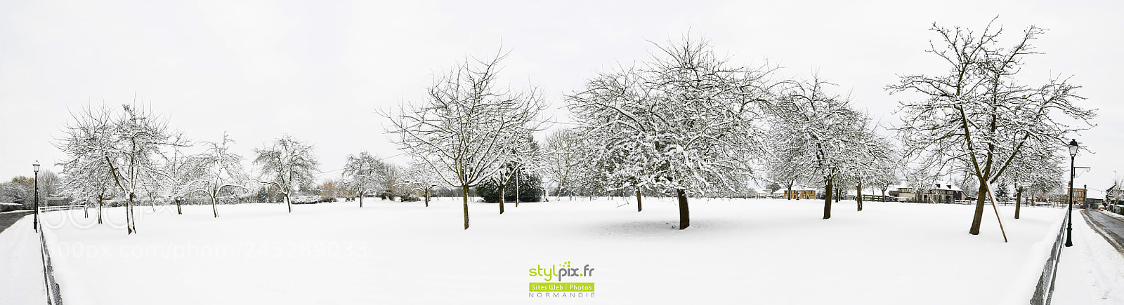 Nikon D500 sample photo. Les pommiers du pays photography