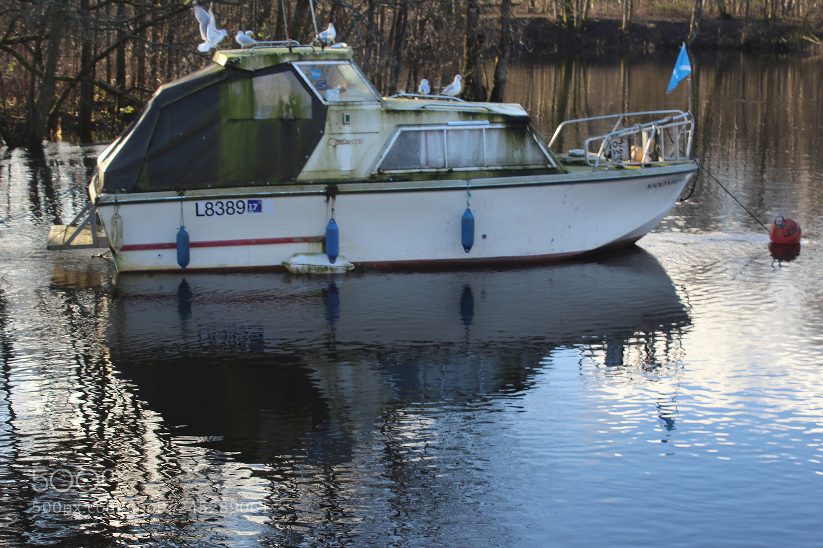 Canon EOS 1200D (EOS Rebel T5 / EOS Kiss X70 / EOS Hi) sample photo. Reflection photography photography