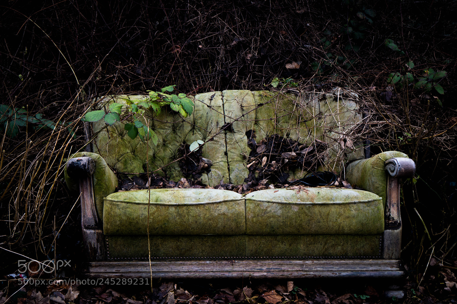 Sony a6500 sample photo. Sofa photography