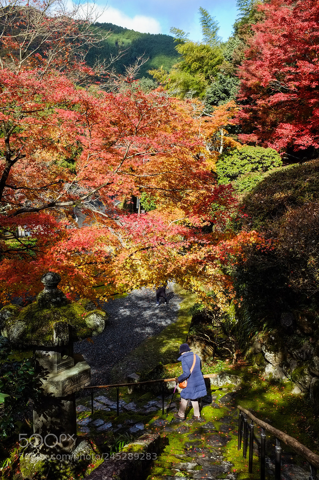 Fujifilm FinePix X100 sample photo. To photography