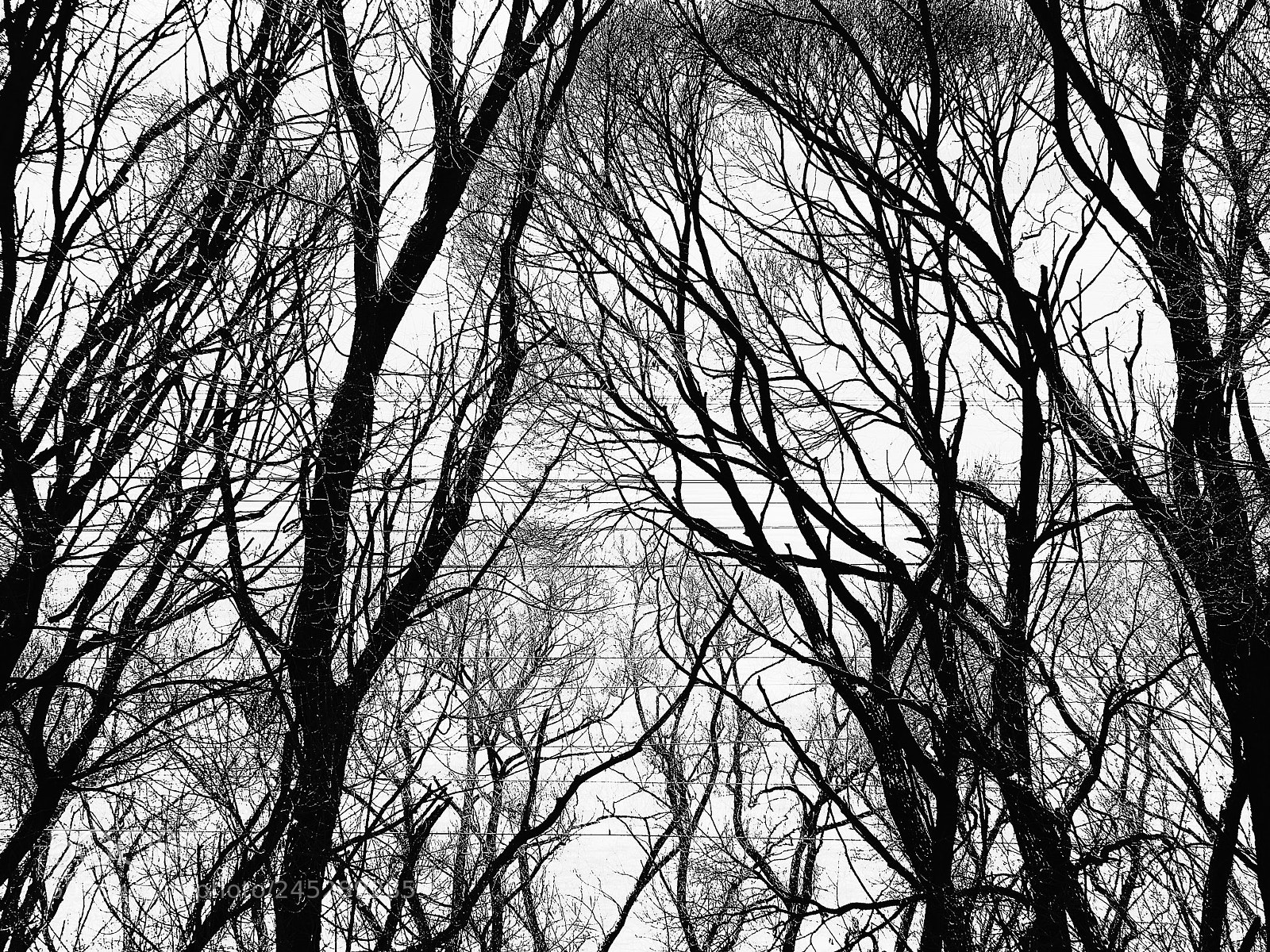 Fujifilm X20 sample photo. Кружева lace photography
