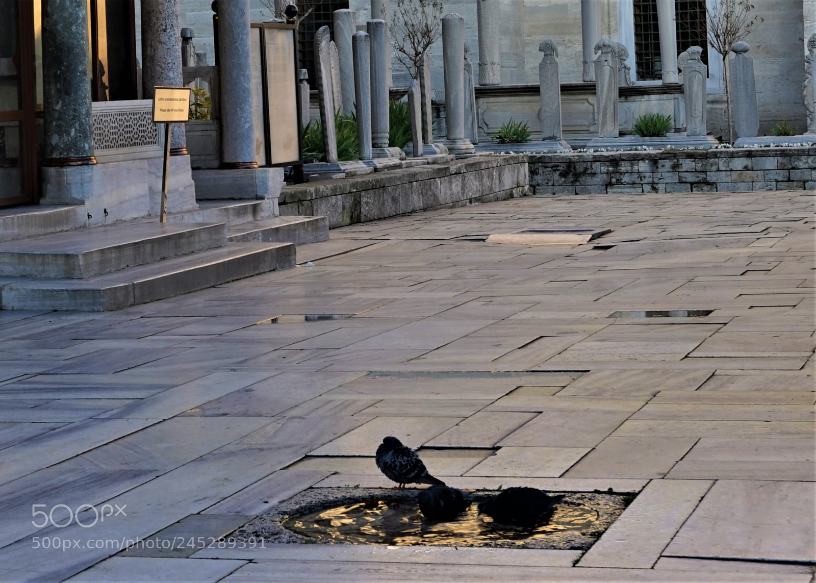 Sony a7 sample photo. S leymaniye de g photography