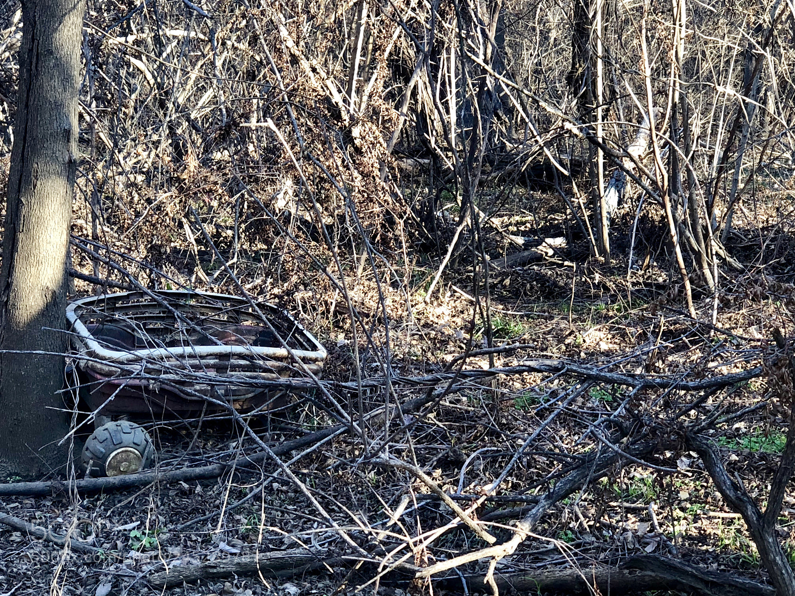 Apple iPhone X sample photo. Cammo wagon photography