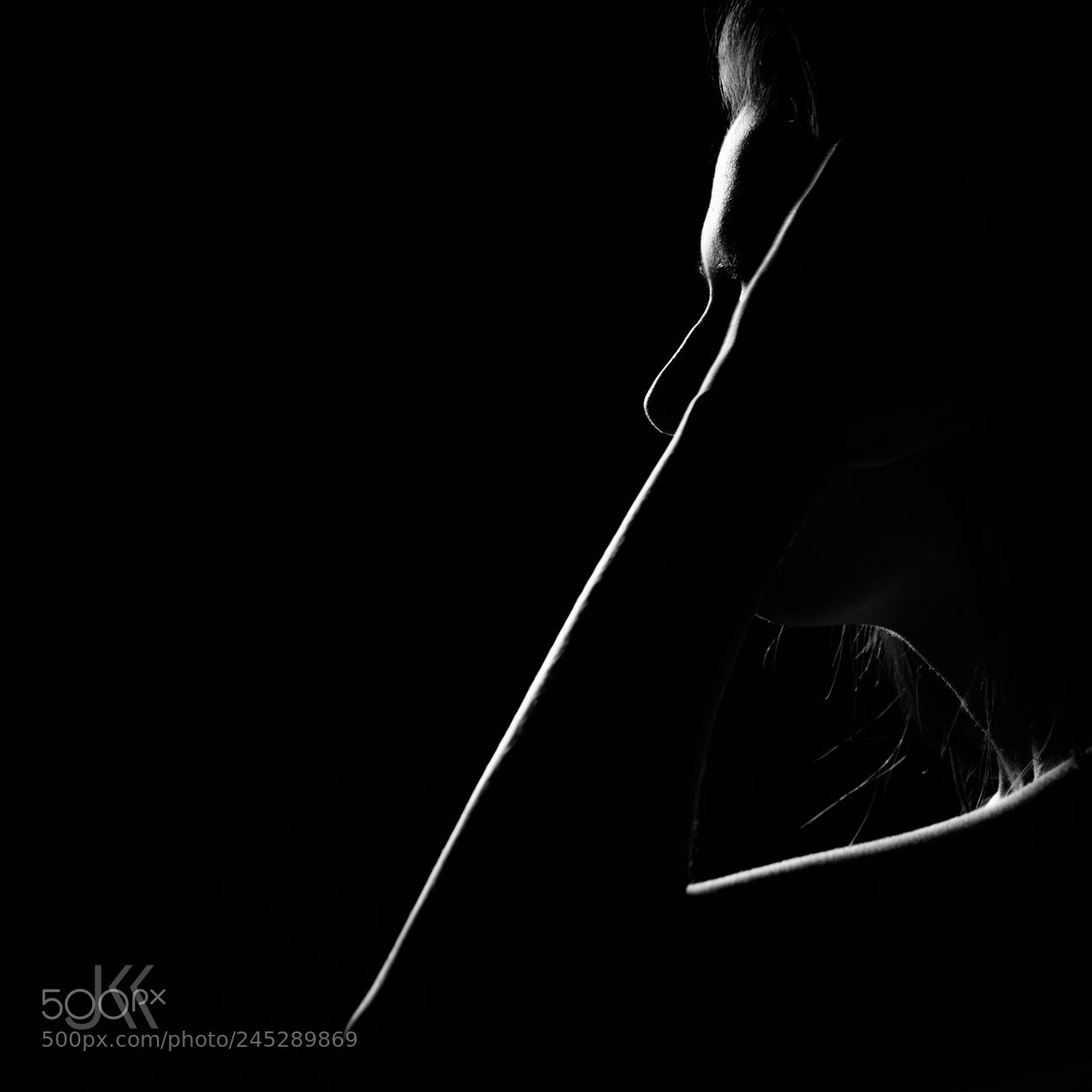Nikon D800 sample photo. Woman photography