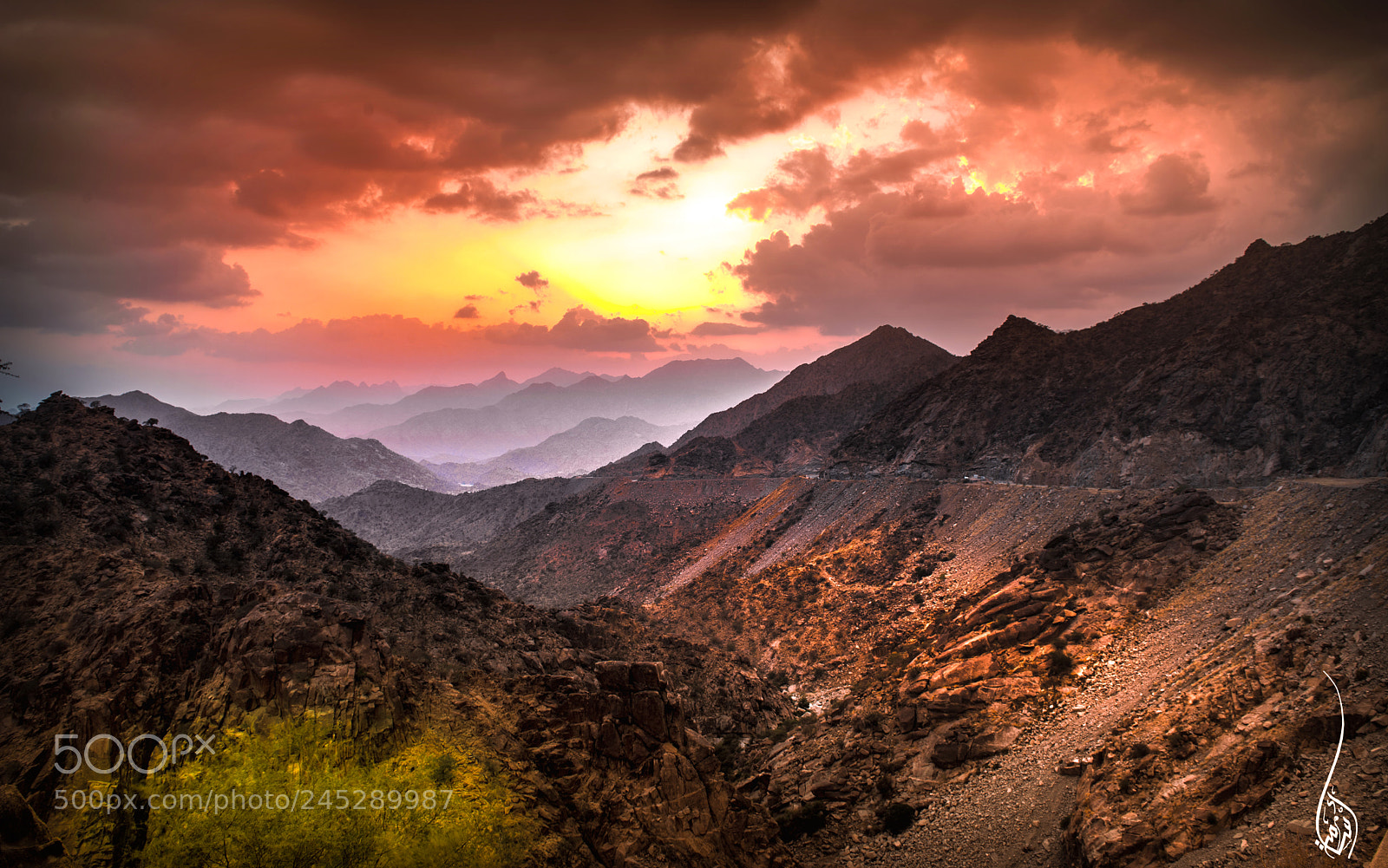 Nikon D610 sample photo. Taif mountain photography