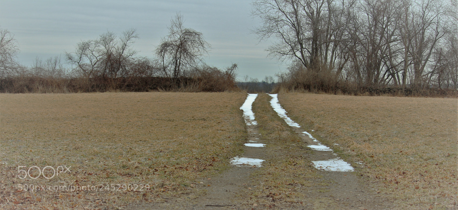 Canon EOS 1300D (EOS Rebel T6 / EOS Kiss X80) sample photo. Trail to nowhere photography