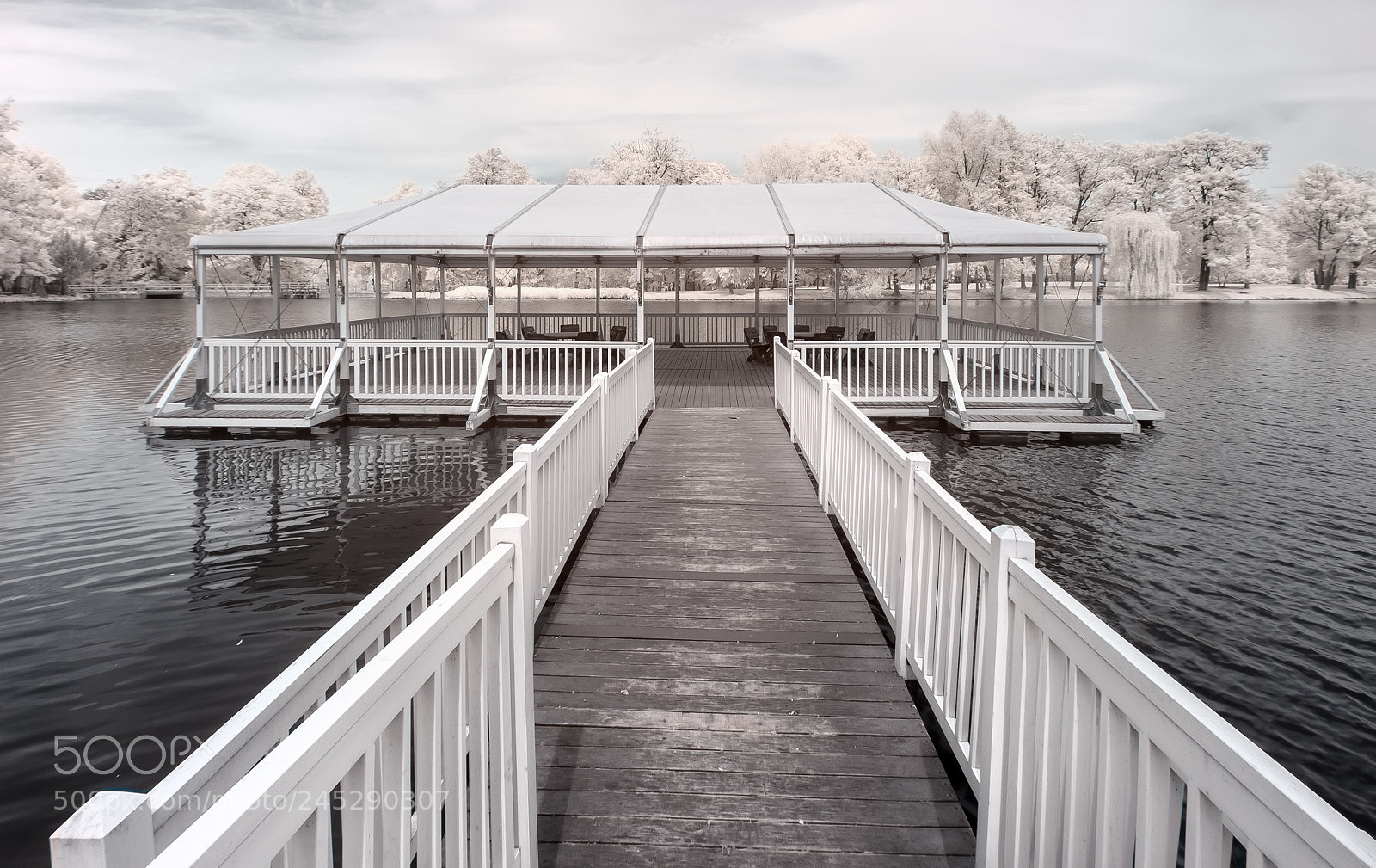 Canon EOS 50D sample photo. Bridge on radziejowice lake photography