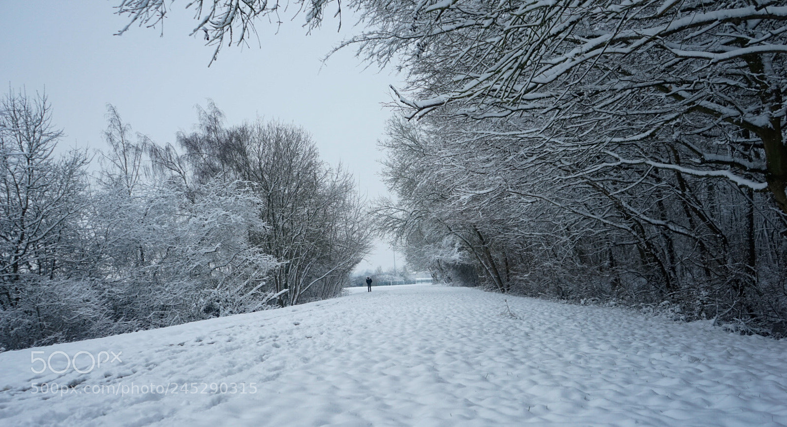 Sony a7 sample photo. The snow is strange photography