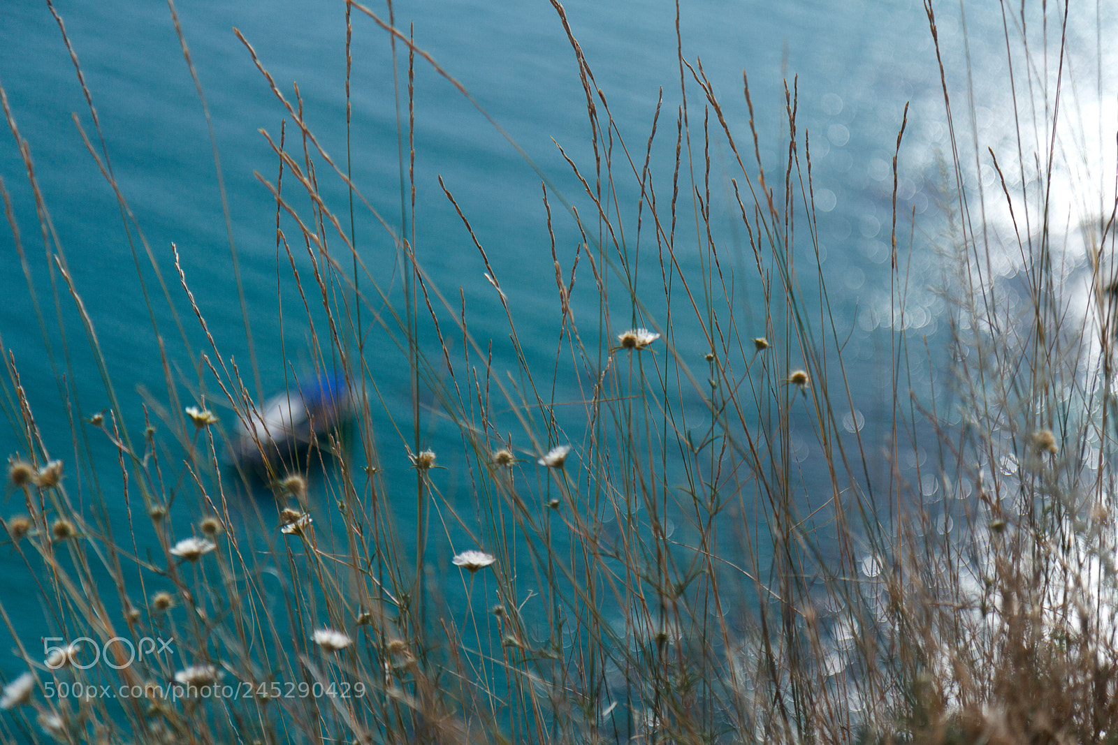 Canon EOS 60D sample photo. Img photography