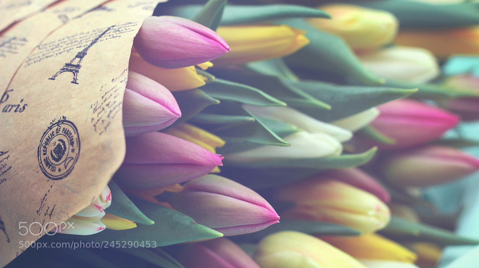 Canon EOS 60D sample photo. 7.jpg photography