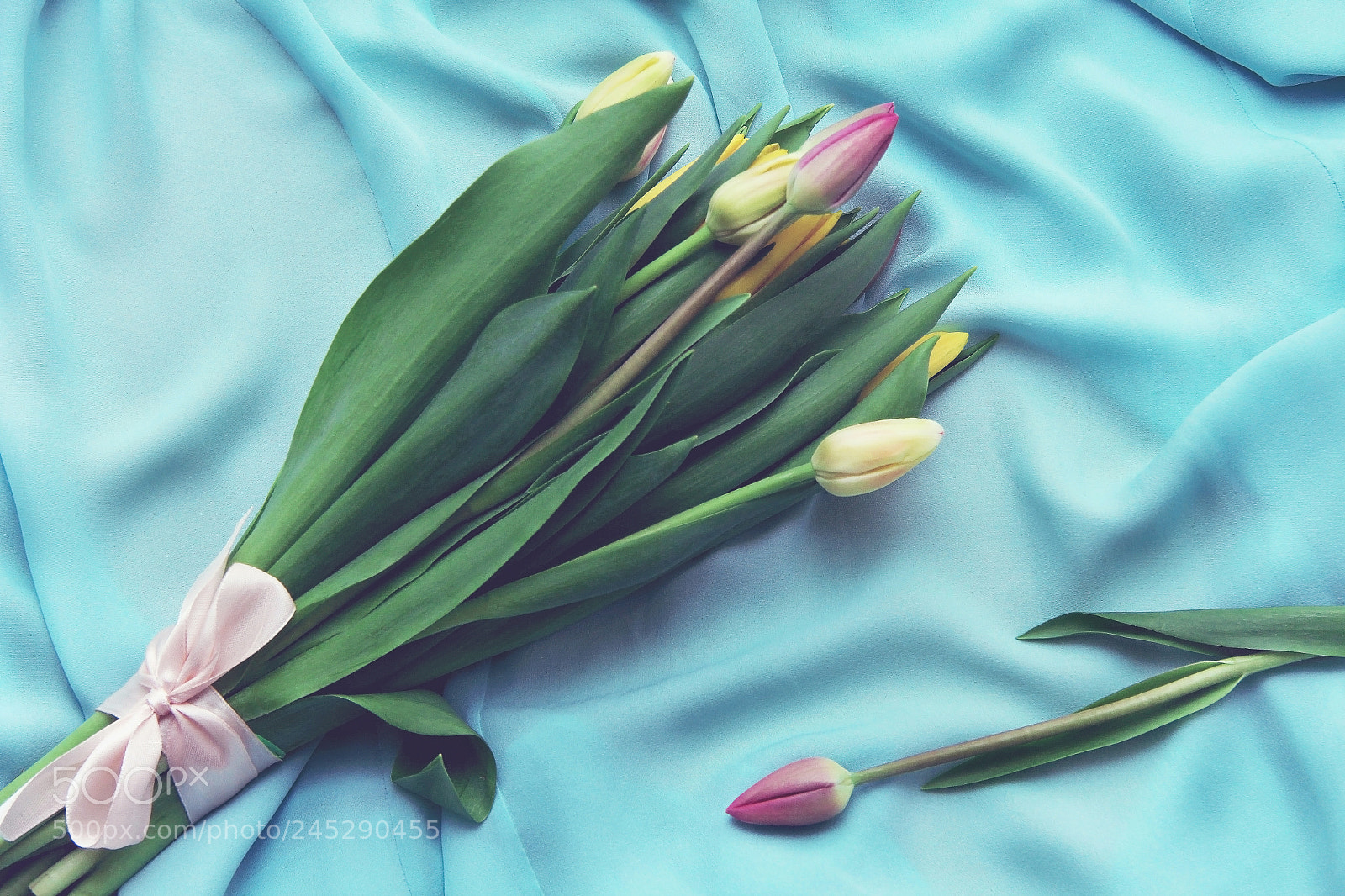 Canon EOS 60D sample photo. 6.jpg photography