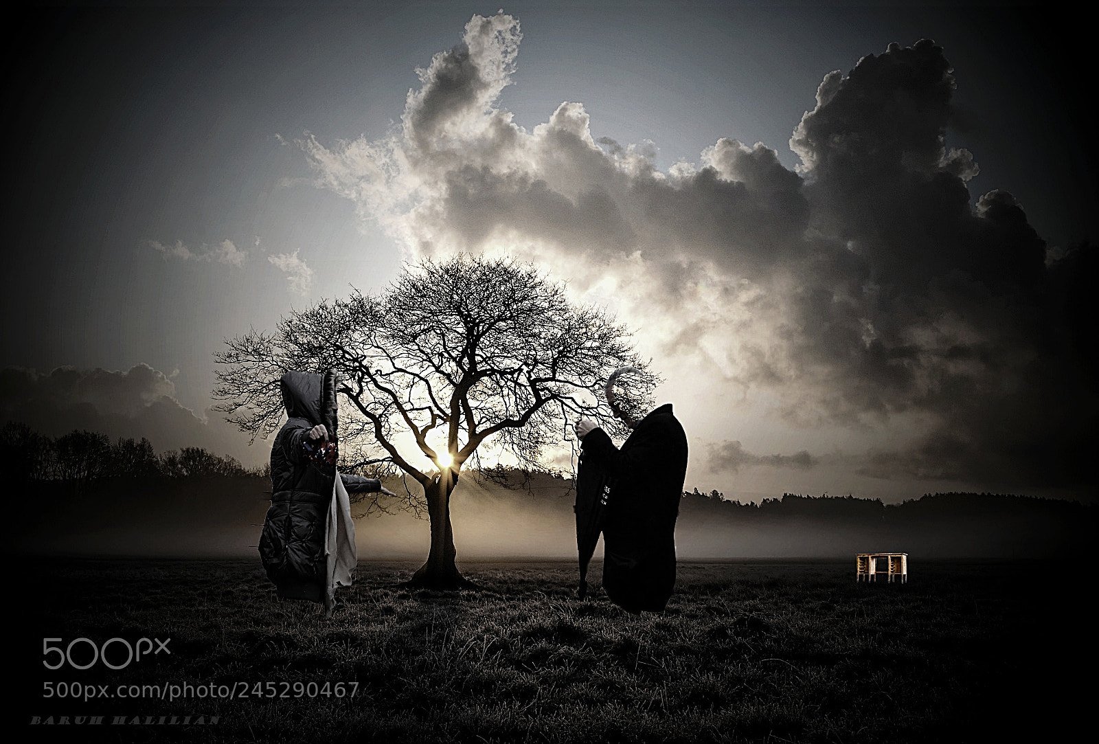 Nikon D5100 sample photo. Lone tree pe photography