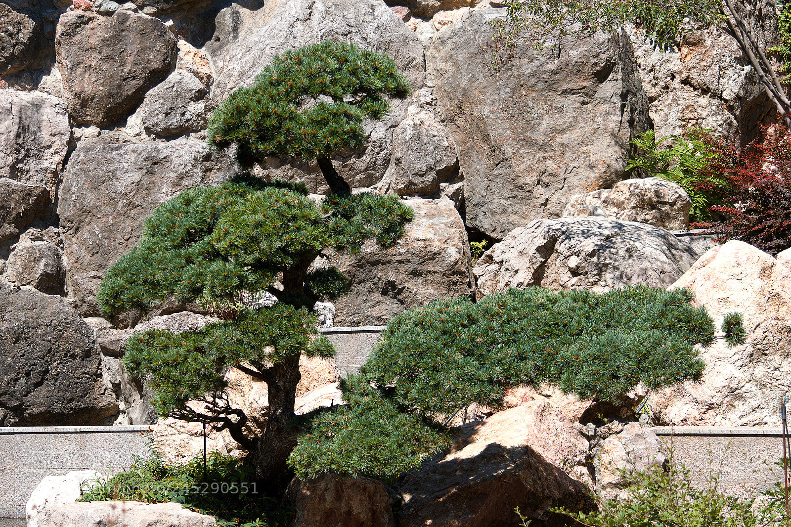 Canon EOS 60D sample photo. Img photography