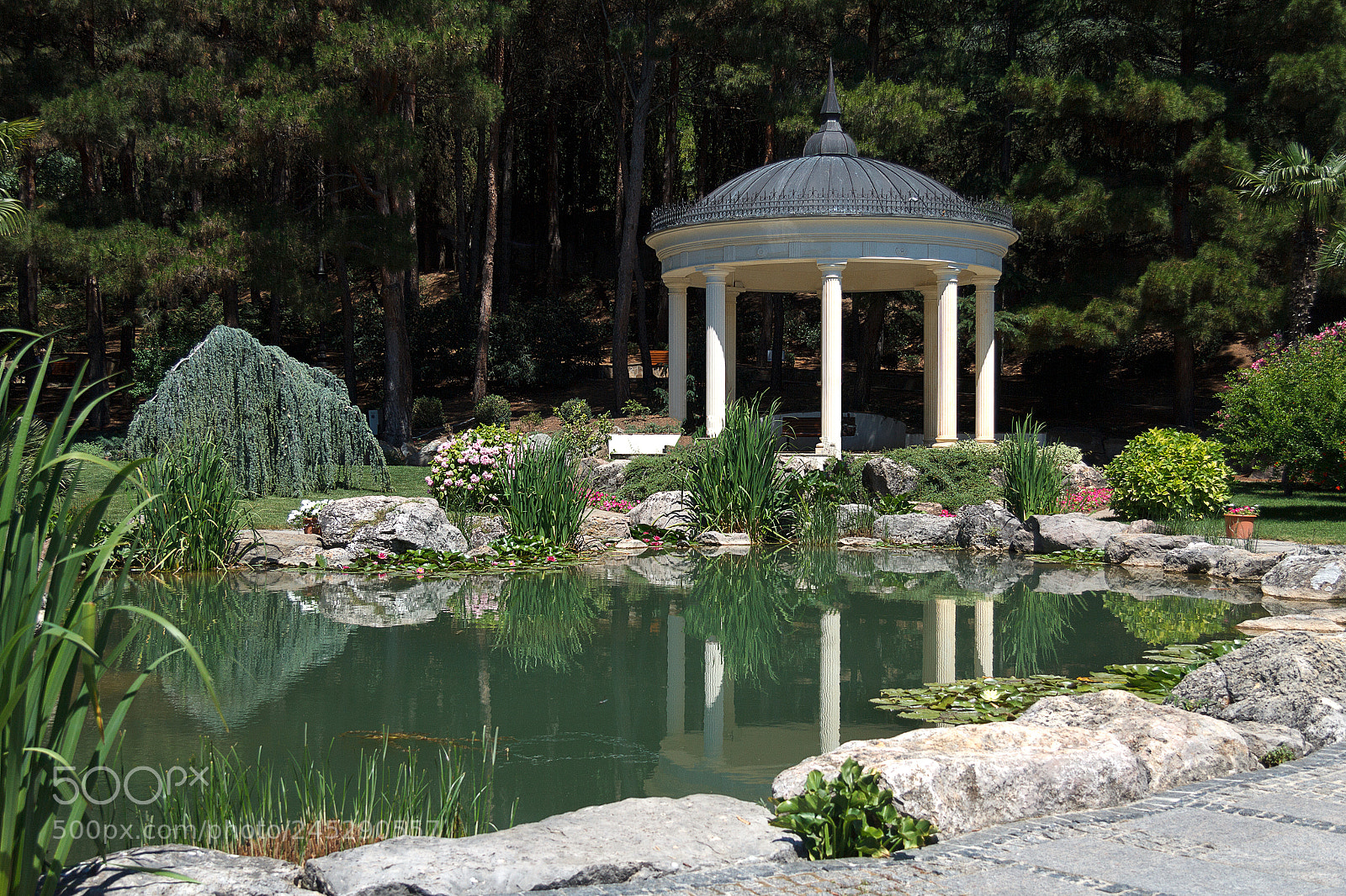 Canon EOS 60D sample photo. Img photography